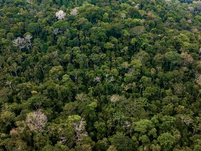 Aerial view of Madre de Dios region in the Amazon, Peru
