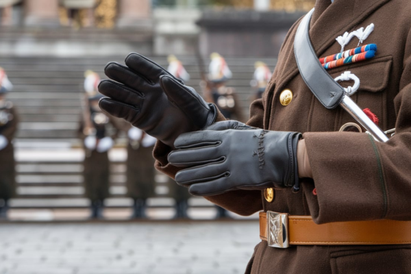 Imperial Japanese Officer's Gloves